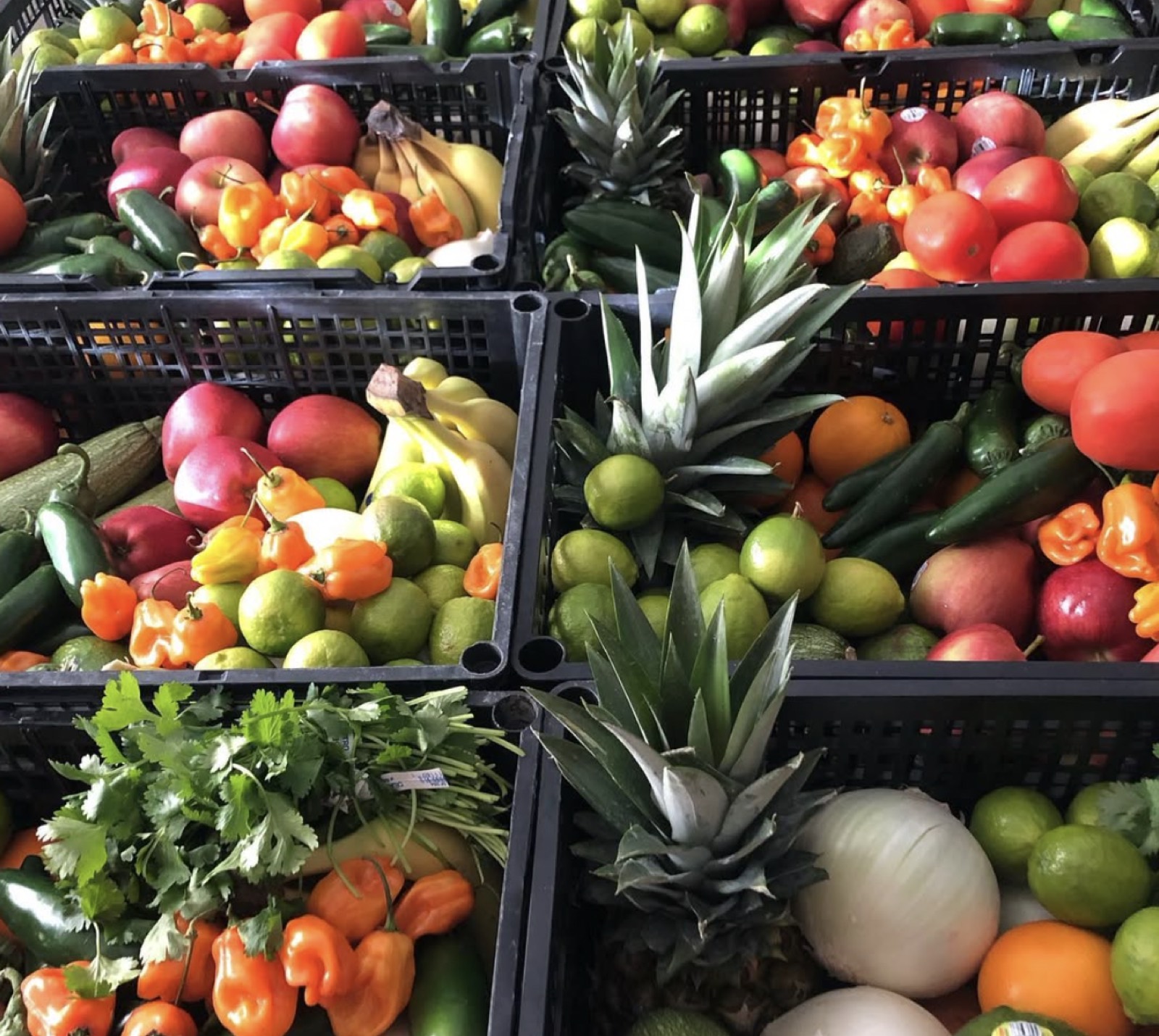 Crates of fresh mixed produce
