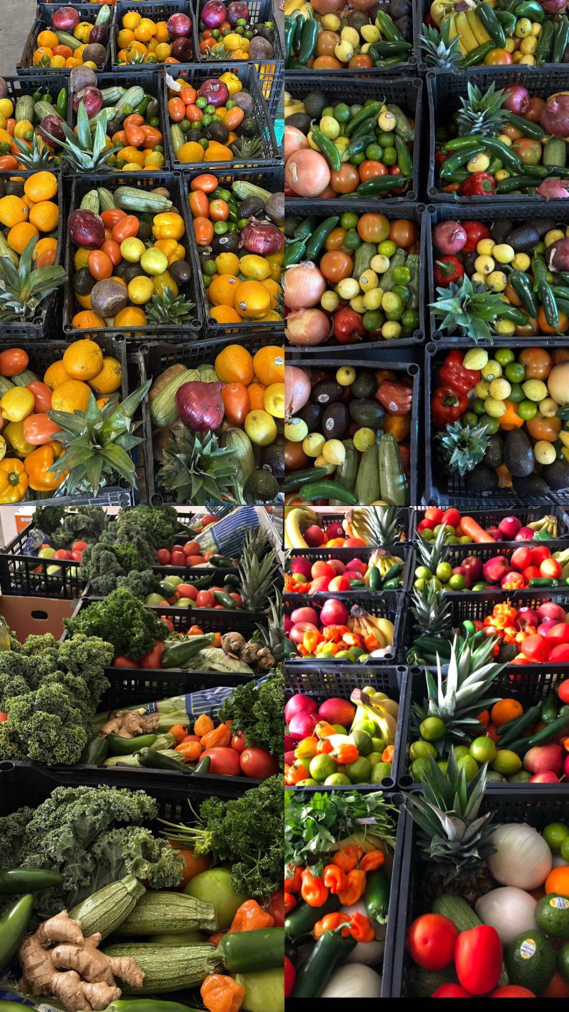 Crates of colorful fresh produce